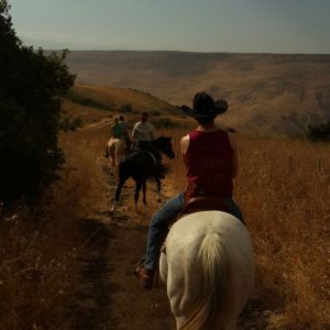 ציוד טיולים